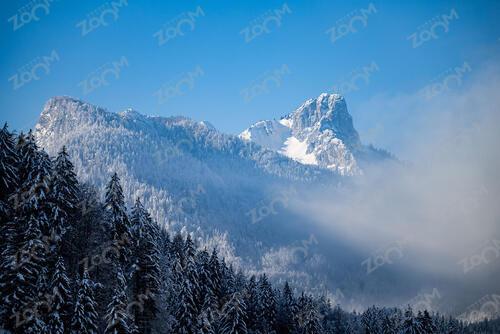 Biathlon Ruhpolding training 2024