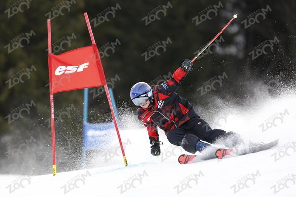 FORERUNNER Skier
