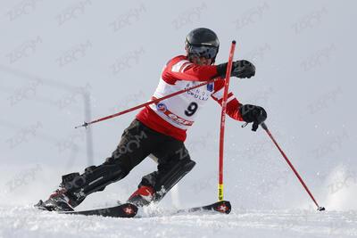  RICHARD Patrick esf23-cha-fvh678-ab-01-0148  Jacqueline Wiles of usa in action during championships women's downhill 13/02/2021 in Cortina d'Ampezzo Italy

photo Alexis Boichard/AGENCE ZOOM