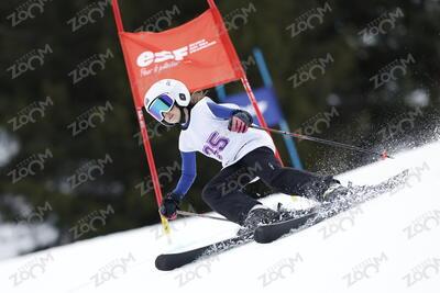 HARTLEY LAISSAOUI Sofia