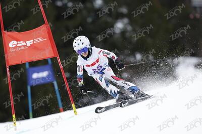 CARDOSO MARFAN Livia