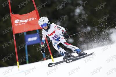 CARDOSO MARFAN Livia