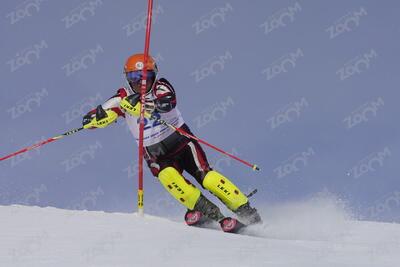 BOTTOLLIER-LASQUIN Laurent