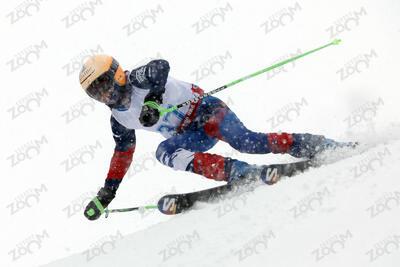 LEROULLEY MERCIER Tom