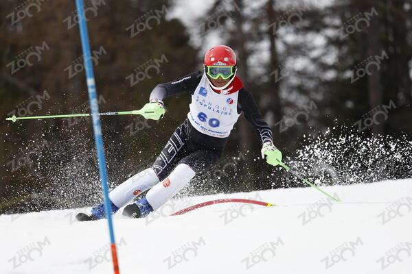  DE L HERMITE Patrick esf22-cha-fvh67-ab-01-0406  Jacqueline Wiles of usa in action during championships women's downhill 13/02/2021 in Cortina d'Ampezzo Italy

photo Alexis Boichard/AGENCE ZOOM