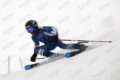 FORERUNNER Skier
