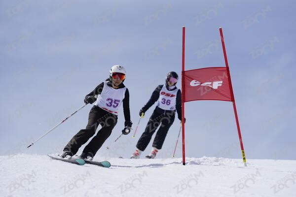 SIFFREDI Alejandra,RENARD Sara