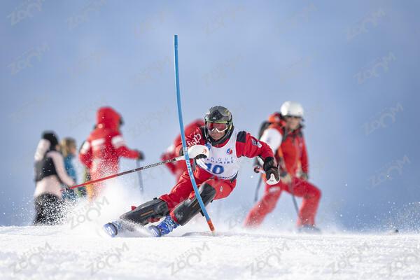 LAVOREL Jean-Francois