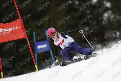 BULLOT LAIGNEAU Artemis