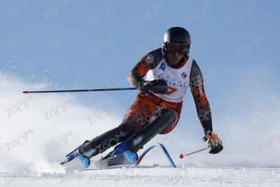  HAMADOU Sebastien esf23-cha-fvh2-ab-01-1008  Jacqueline Wiles of usa in action during championships women's downhill 13/02/2021 in Cortina d'Ampezzo Italy

photo Alexis Boichard/AGENCE ZOOM