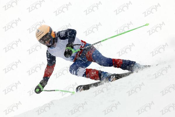 LEROULLEY MERCIER Tom