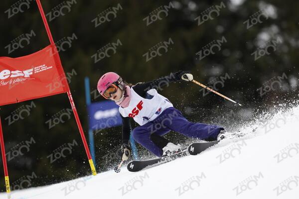 BULLOT LAIGNEAU Artemis