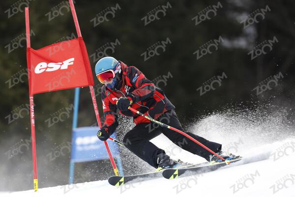FORERUNNER Skier