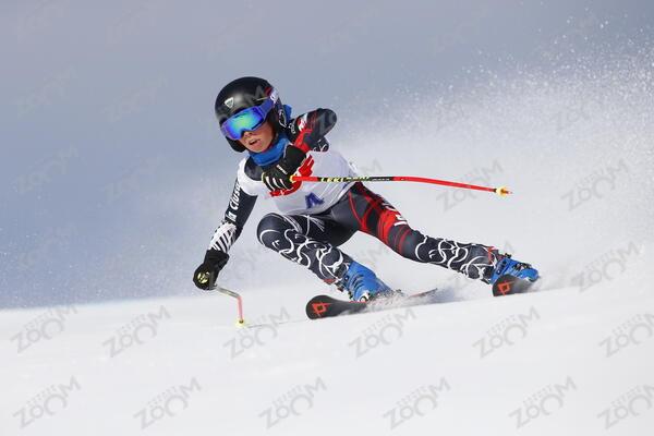 CONS AUCHATRAIRE Antoine