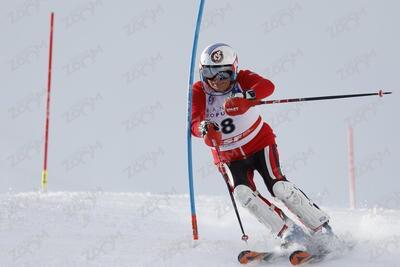  PESSEY Maurice esf23-cha-fvh678-ab-01-0136  Jacqueline Wiles of usa in action during championships women's downhill 13/02/2021 in Cortina d'Ampezzo Italy

photo Alexis Boichard/AGENCE ZOOM