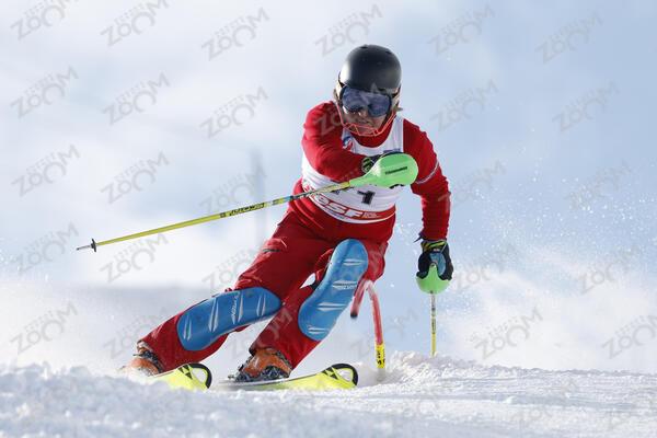  YVROUD Alain esf23-cha-fvh678-ab-01-1076  Jacqueline Wiles of usa in action during championships women's downhill 13/02/2021 in Cortina d'Ampezzo Italy

photo Alexis Boichard/AGENCE ZOOM