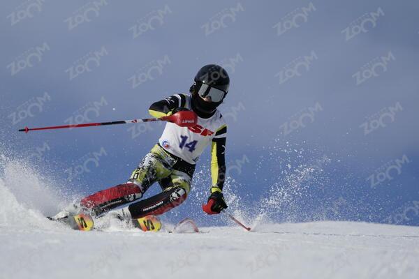 COHEN-SKALLI Gabriel