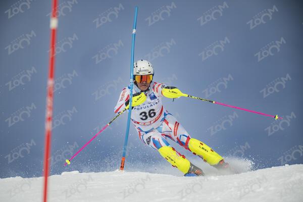 POCCARD-MARION Francois