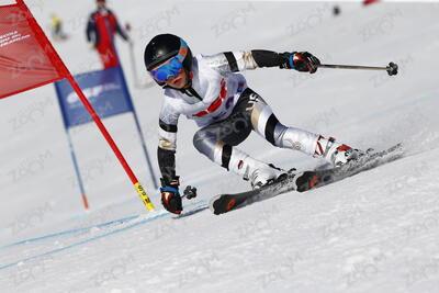 VAN DER MEERCHEN Nikita